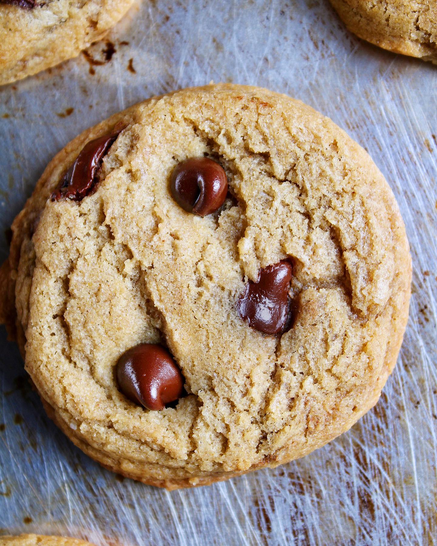 DRs. Orders Baking CO. | New Canaan CT