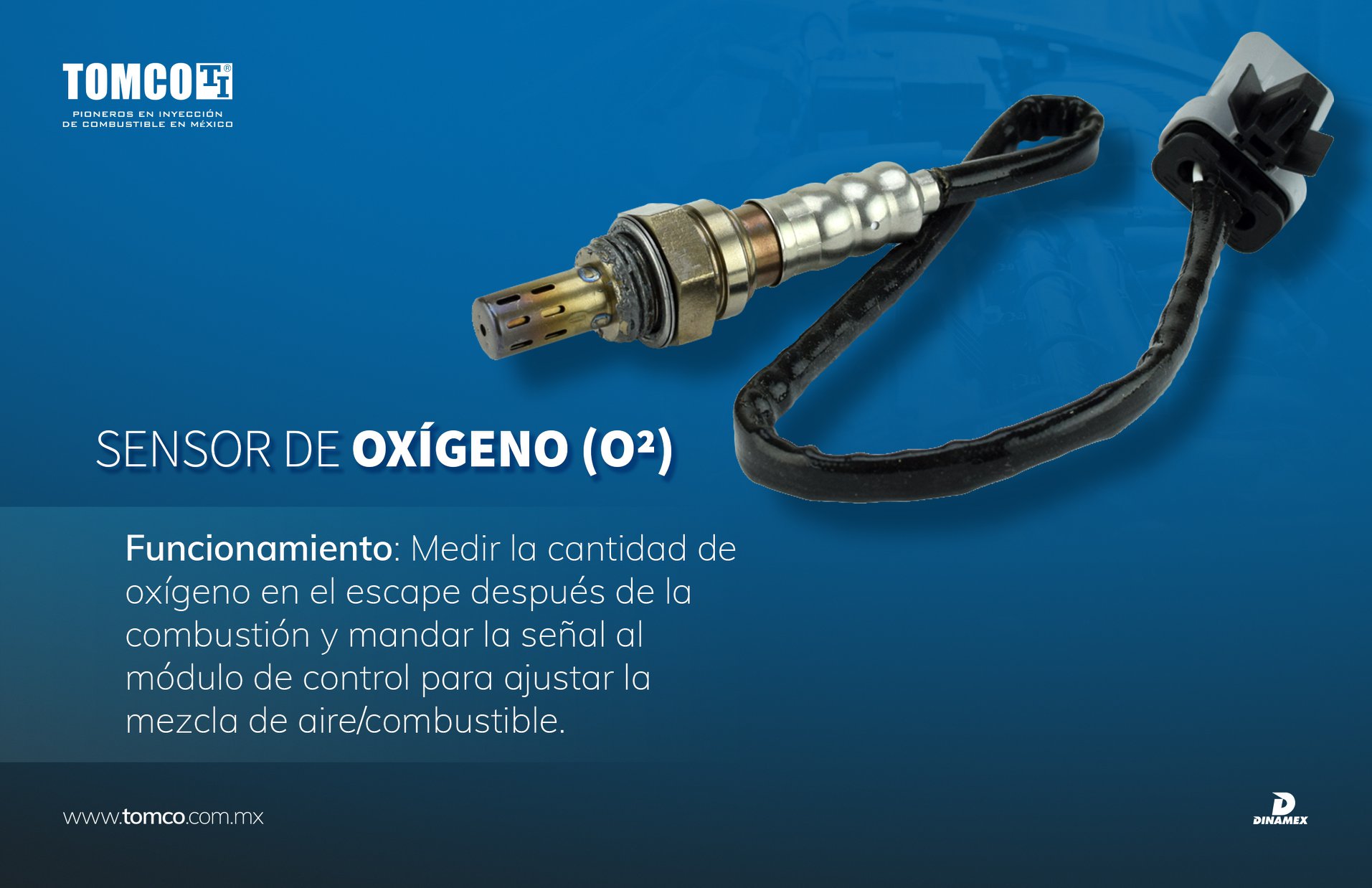 📍Los sensores de oxígeno van... - Tomco Fuel Injection | Facebook