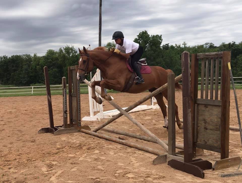 Manor Equestrian Center | Manor TX