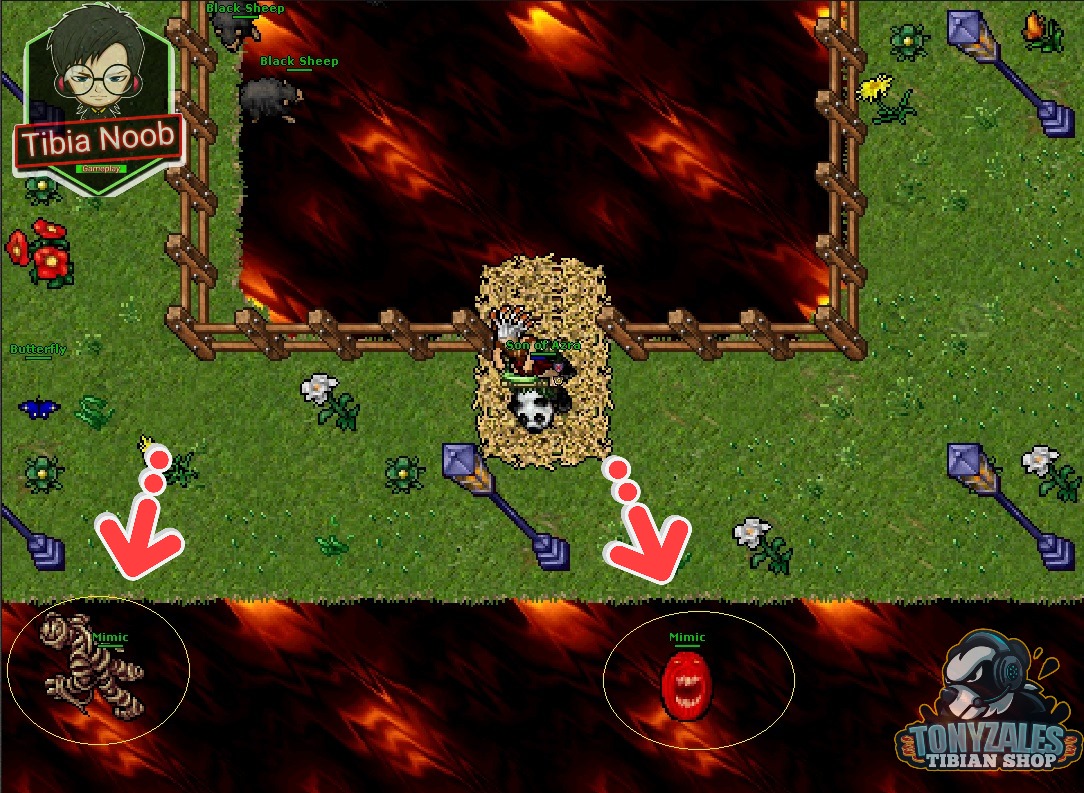 Tibia Noob - ¿Sabías que Tibia tiene su propio Ditto? (Pokemon) 😅👇👇👇 Si ...