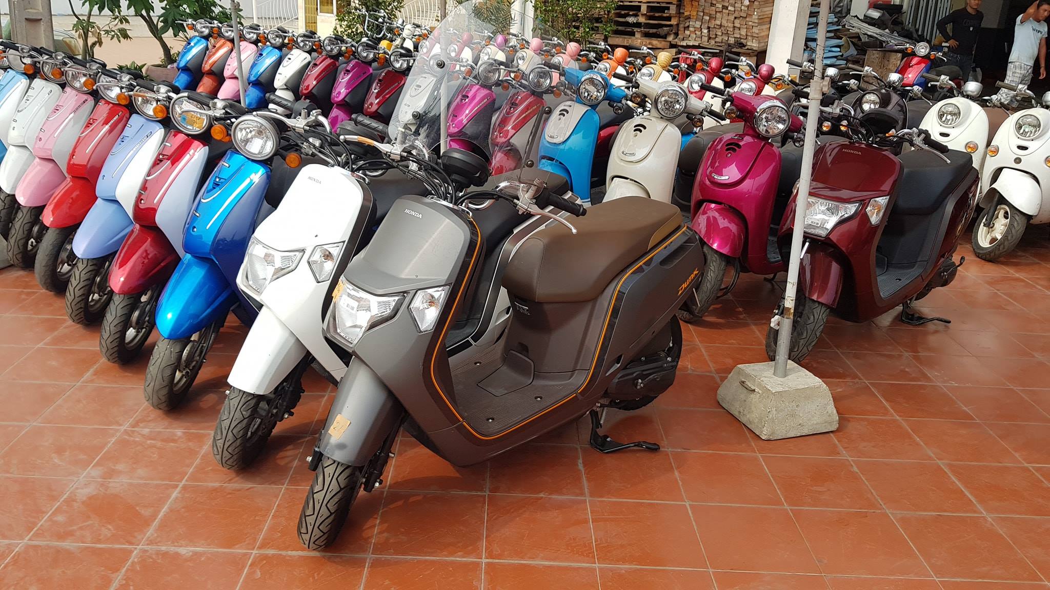 Honda Dunk 50cc 086 9999 77/ 012 330 965