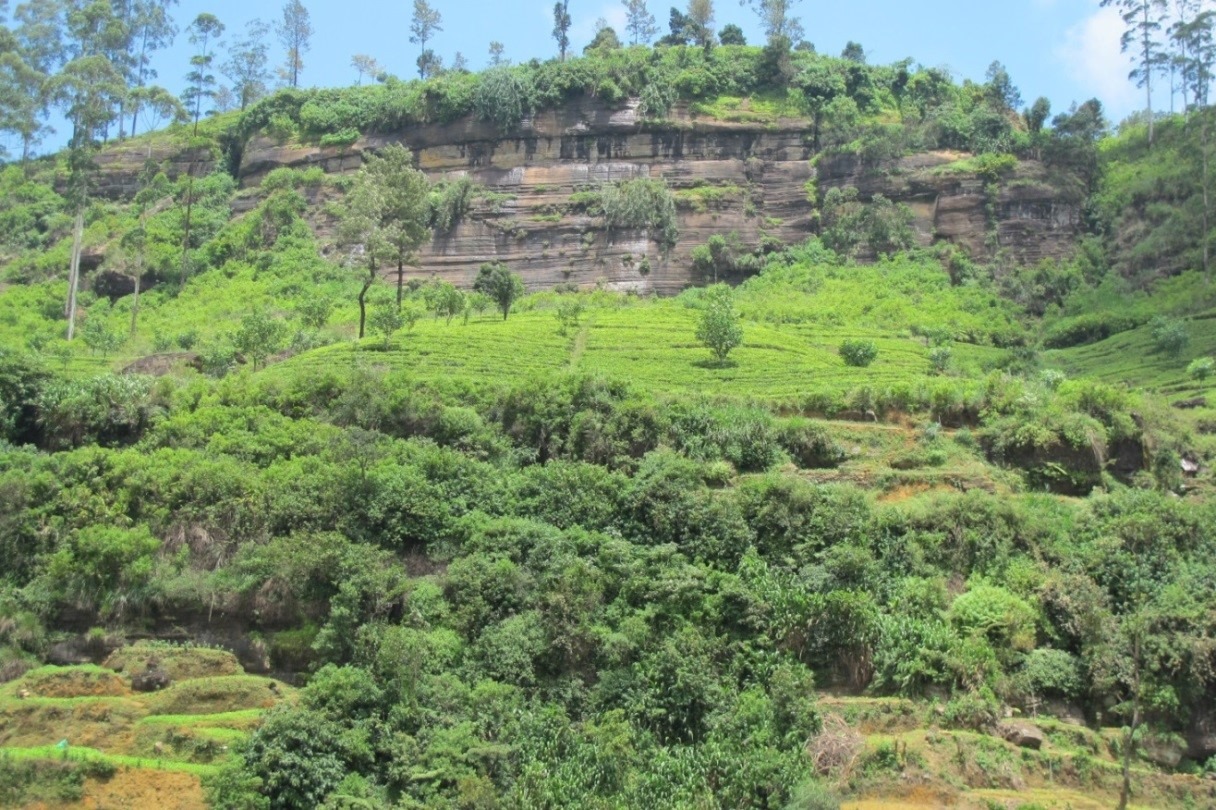 Labukele Resort | Nuwara Eliya