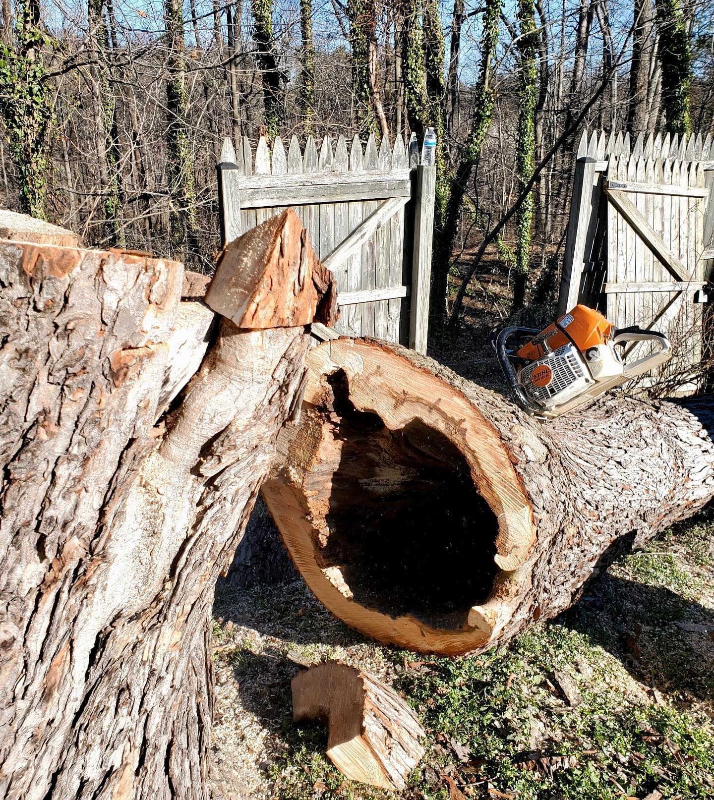 Cardinal Tree Care LLC | Arlington VA