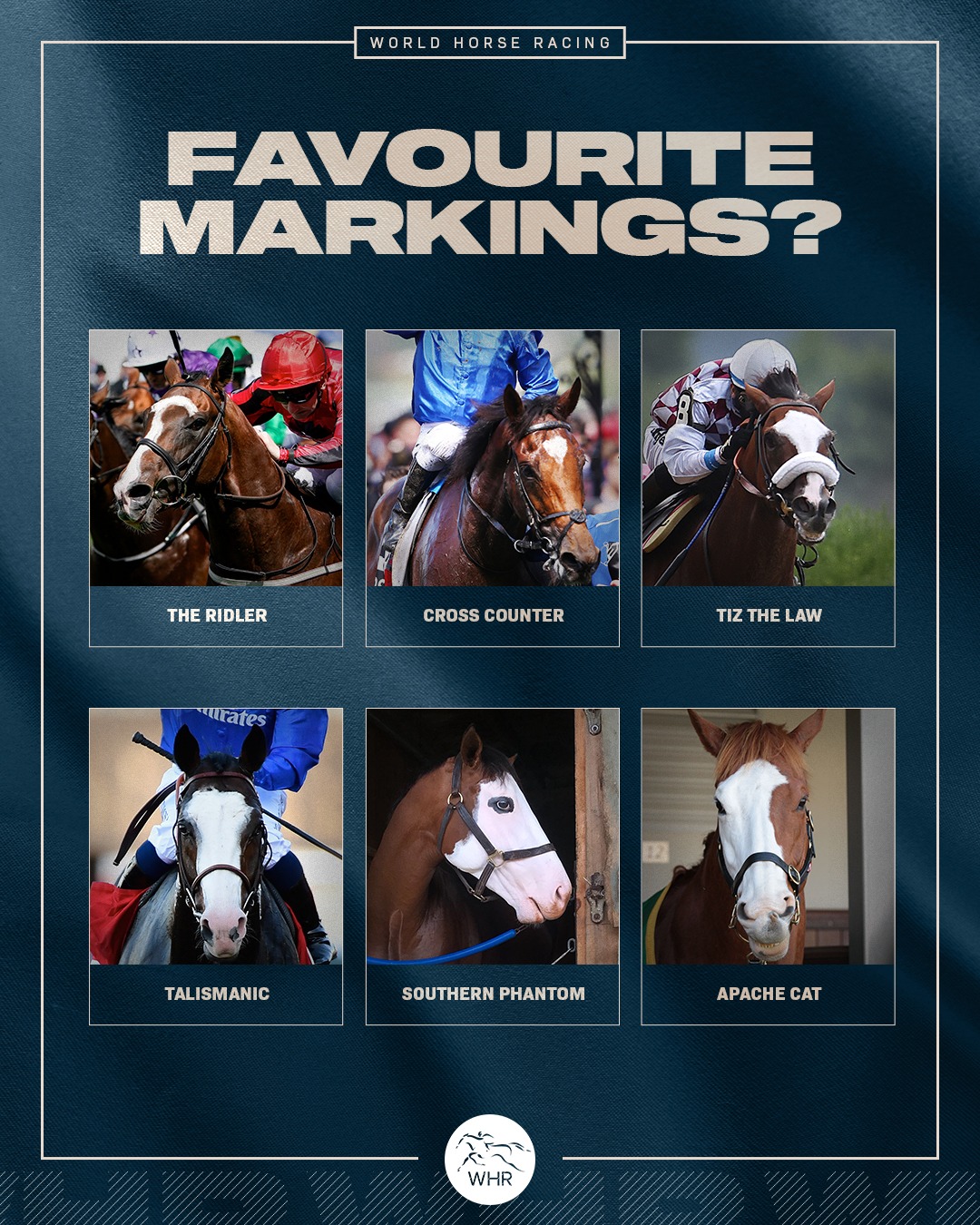 There are some great examples of... - World Horse Racing | Facebook