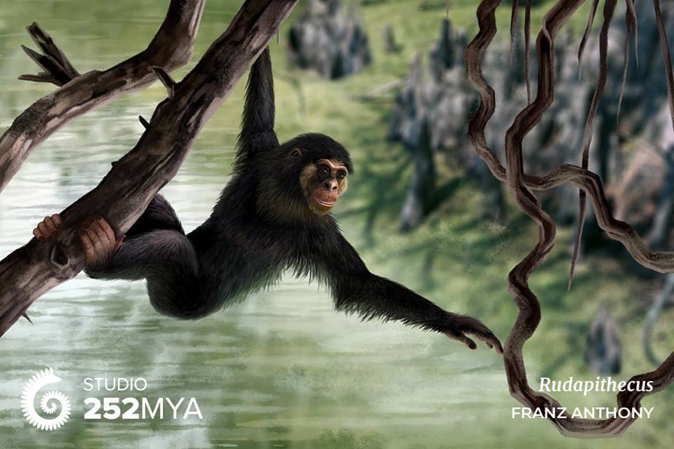 WORLD OF PREHISTORIC CREATURES | Rudapithecus, a species of ape from ...