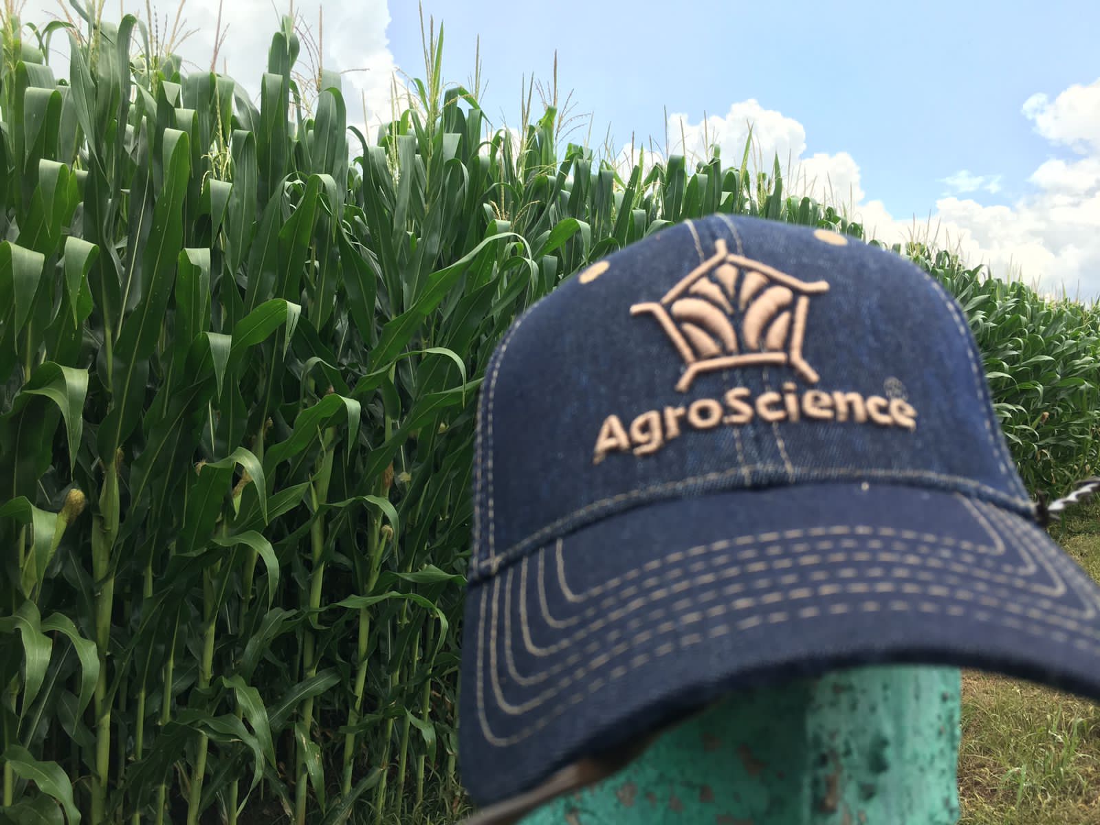 AgroScience - Conoce nuestros paquetes nutricionales para... | Facebook