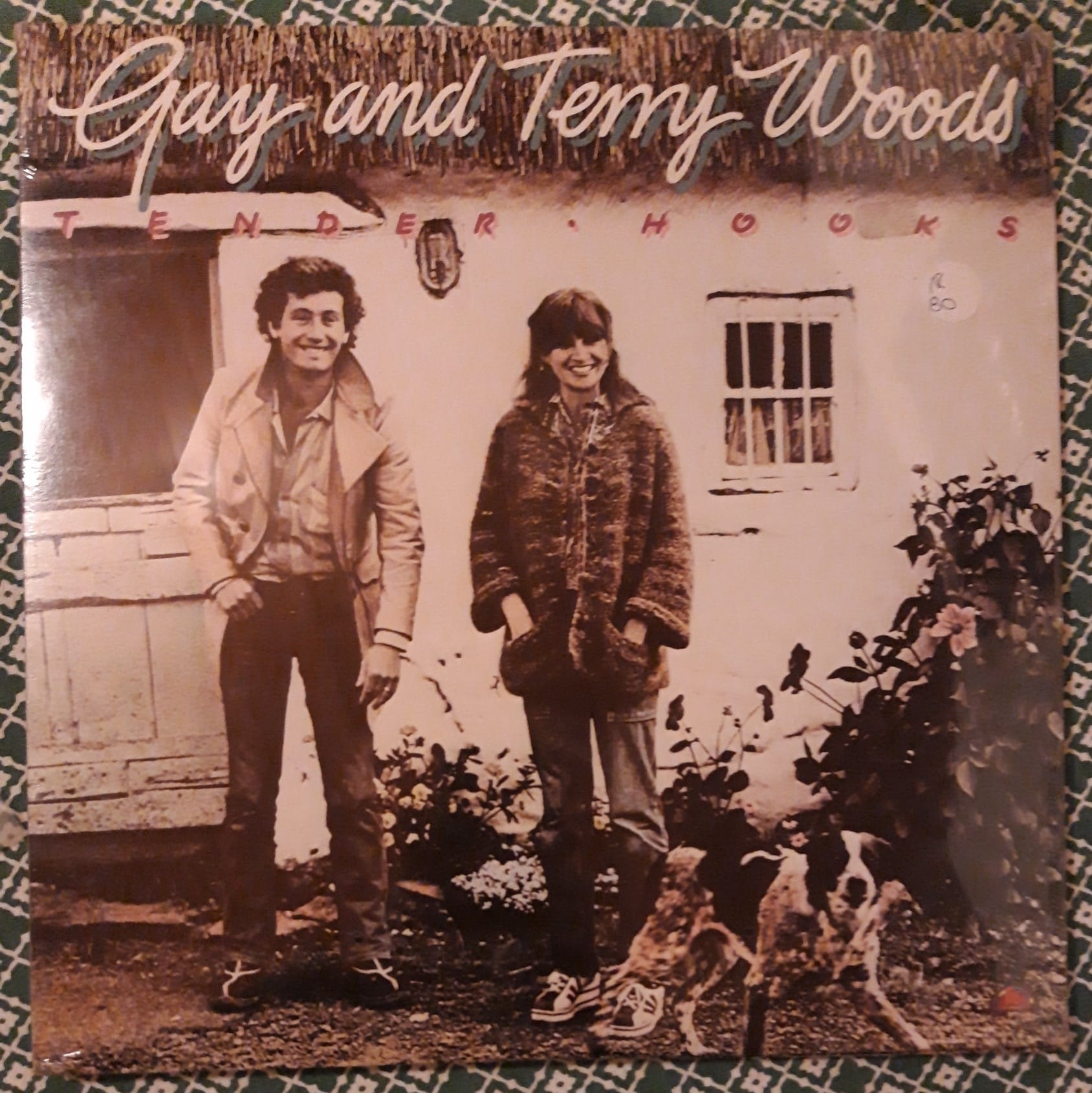 Discovering rare 1975 album Gay and Terry Woods Backwoods