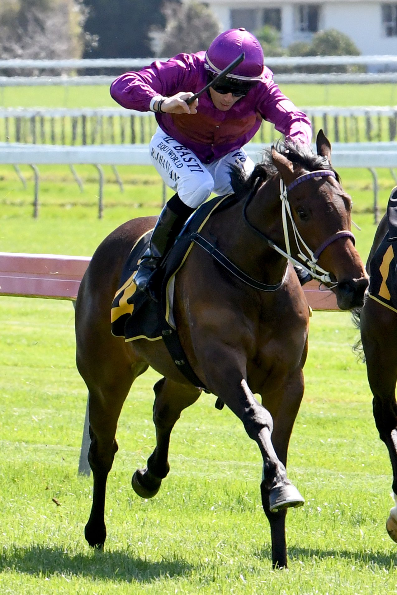 NZ Racing News - READ: Lisa Latta Racing have unearthed... | Facebook