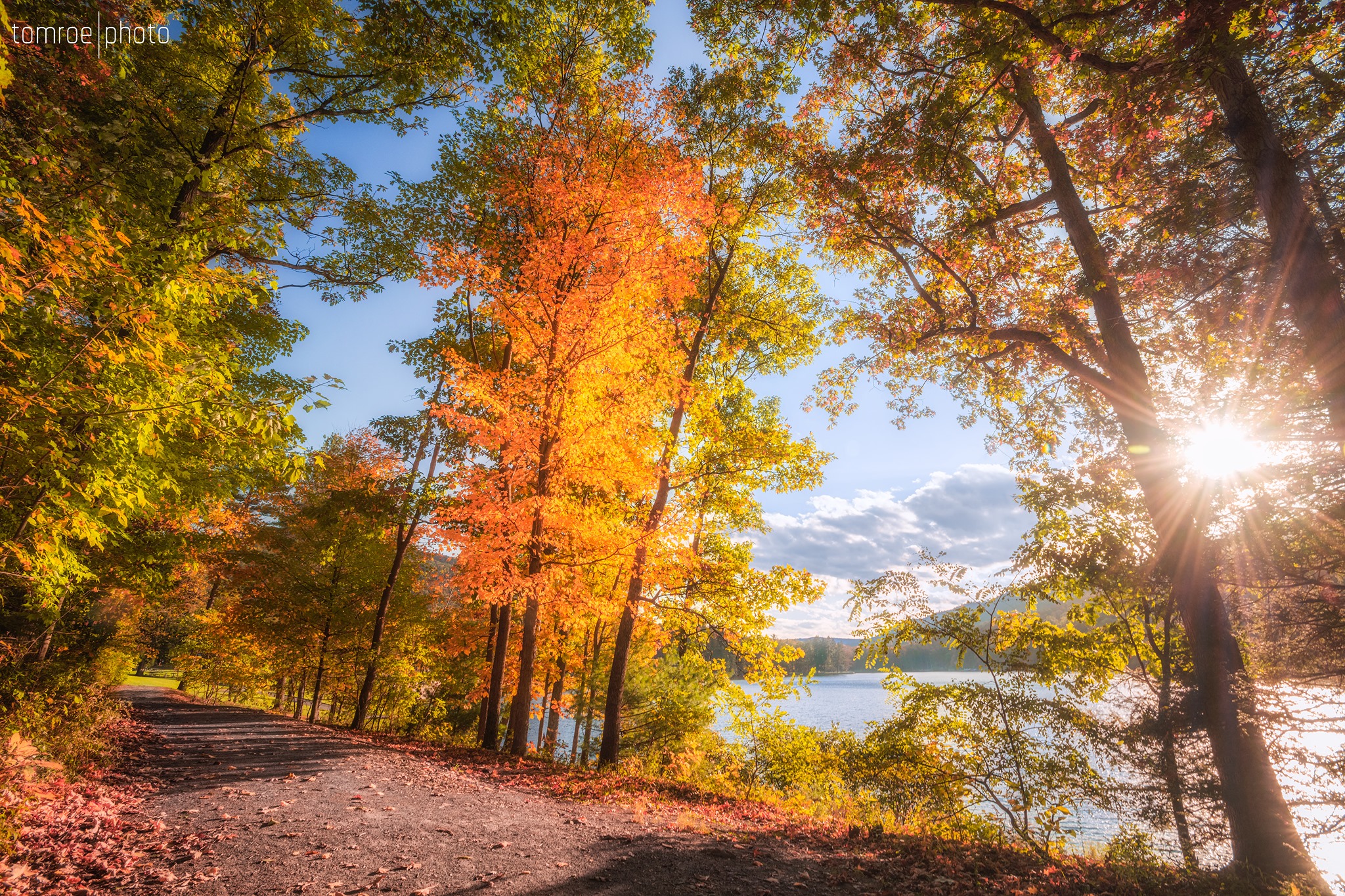 The Fall foliage photos continue!... - Tom Roe Photography