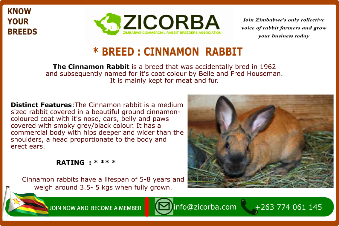 The... - Zimbabwe Commercial Rabbit Breeders Association | Facebook