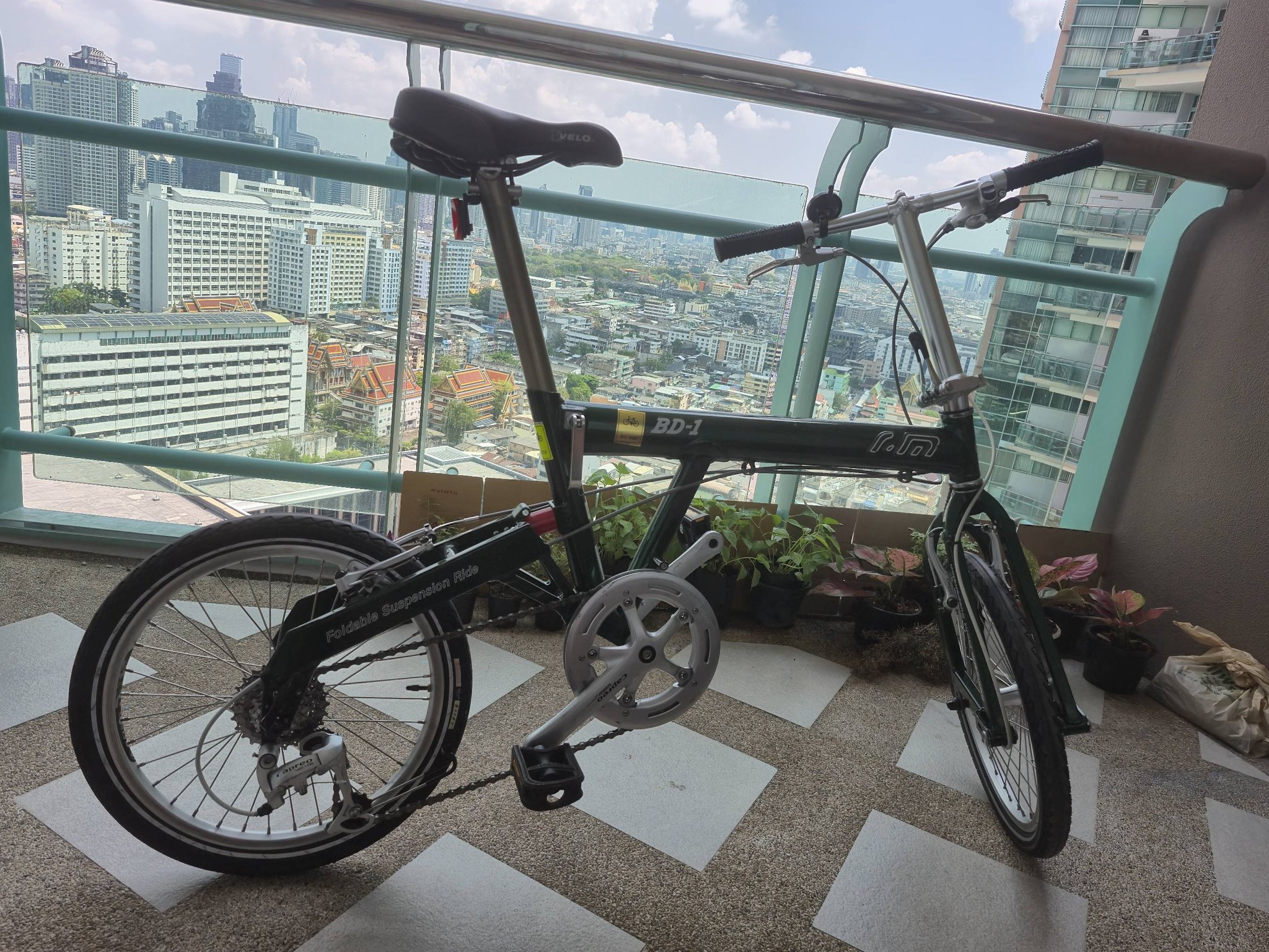 Green metallic Birdy bike Gen-1