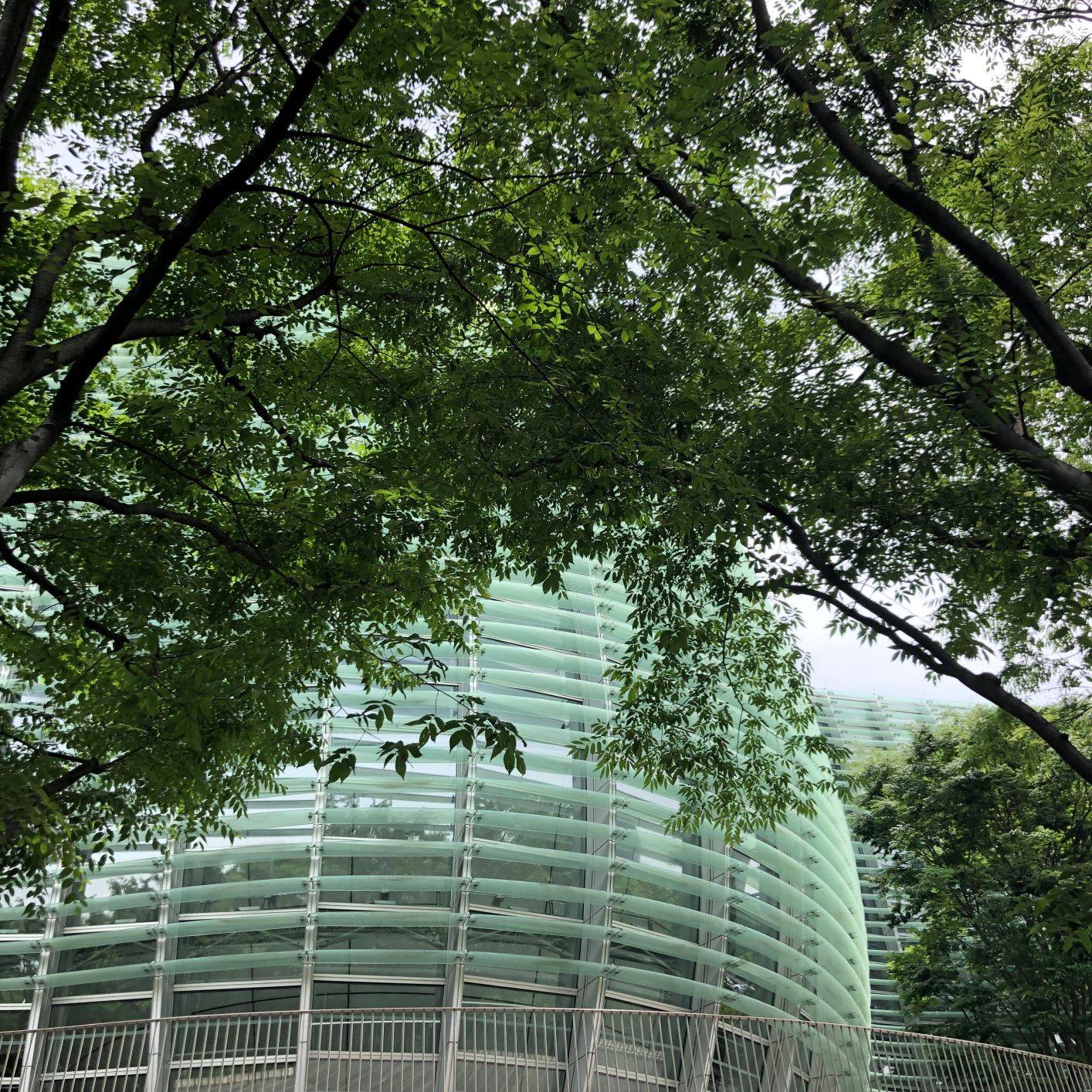 国立新美術館 新美tips 新美のコンセプトは 森の中の美術館 です さまざまな植物が取り囲む館内を楽しみながら少し散策してみませんか Nacttips The Nact S Concept Is Of An Art Center Surrounded By Green Spaces As It Is Surrounded By Many And