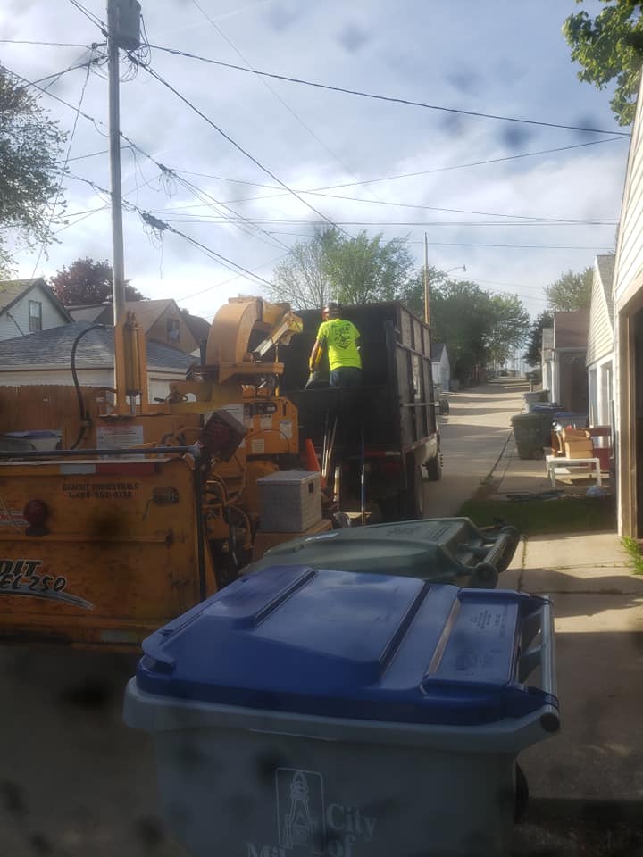 C M Tree Services LLC