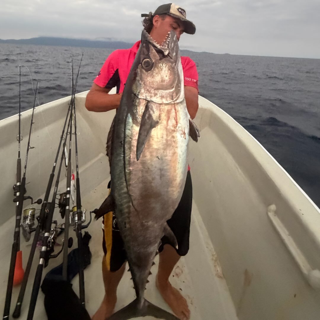 Hungry hungry cod | Aiden Whiteman