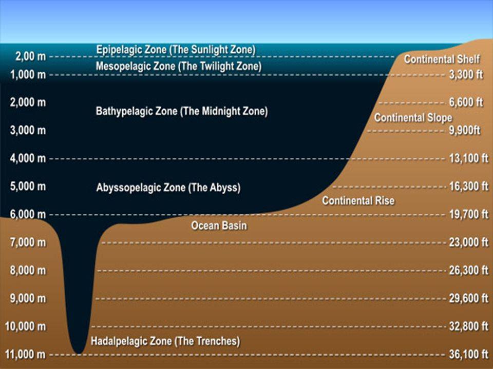 The Earth Story - Marine Environment and Ocean Zones Throughout modern ...