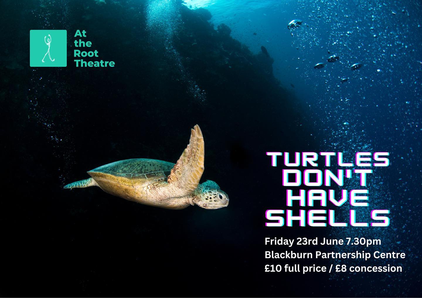 At - ‘The world just needs to be able to breathe again.’ Turtles Don’t ...