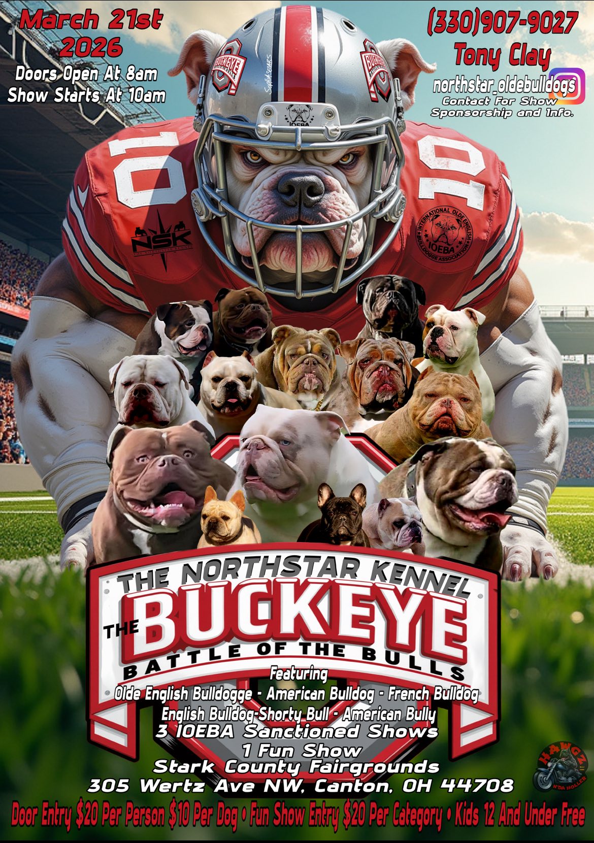 Rio Bravo... - Rio Bravo Bulldogs - Olde English Bulldogges