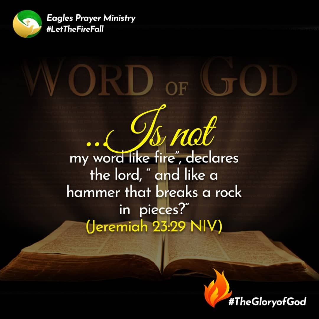 Eagles - “Is not my word like fire,” declares the Lord , “and like a ...