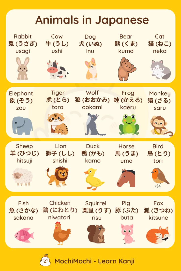 Learn Japanese language for N4, N5 | **How I Learn Japanese for JLPT ...