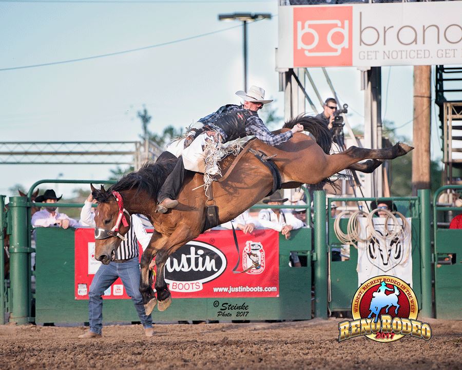 Rodeo Dog - The B-D Rodeo Company. Two families, 3 generations strong ...