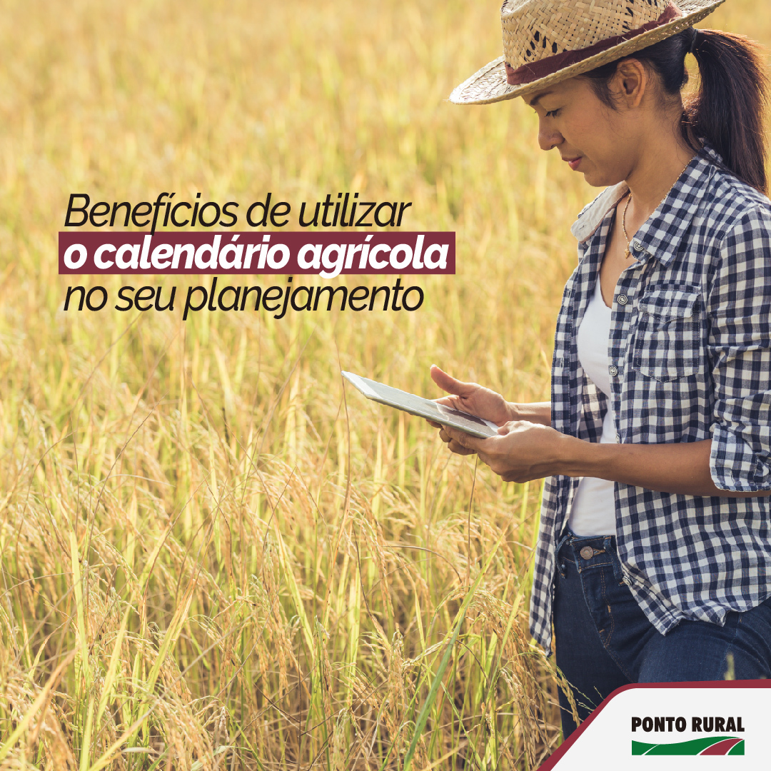 O calendário agrícola é uma ferramenta... - Ponto Rural Agro | Facebook