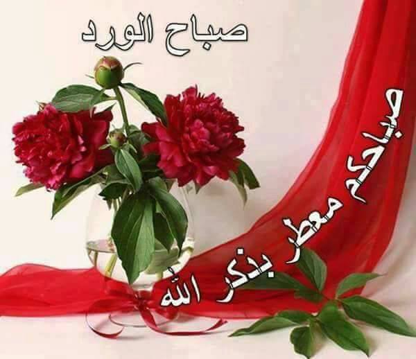قنادي مع ساعات الصباح الأولى ربي اجعل لنا في دروب الحياة خير وفي دروب الحزن سعادة وارزقنا من حيث لا نحتسب صباح الخير Facebook