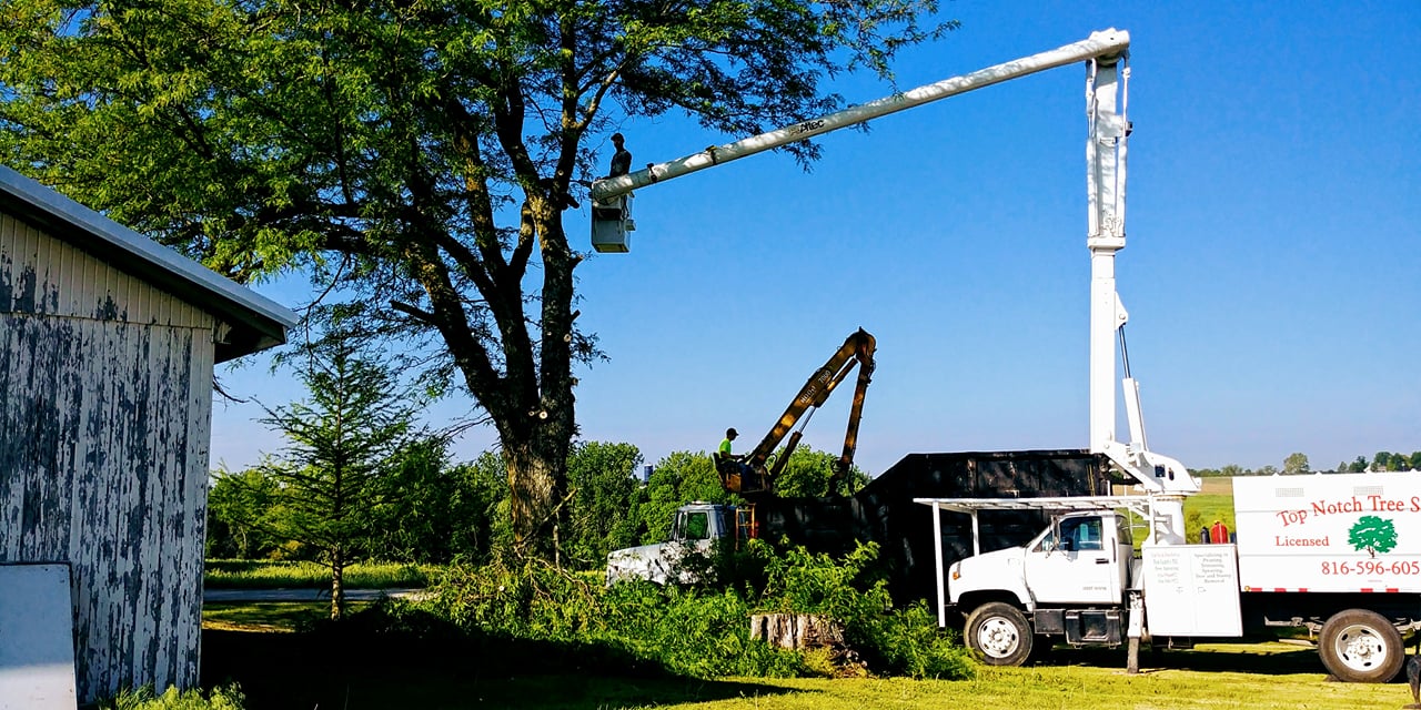 Top Notch Tree Service | Easton MO