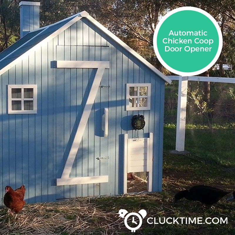 Cluck Time