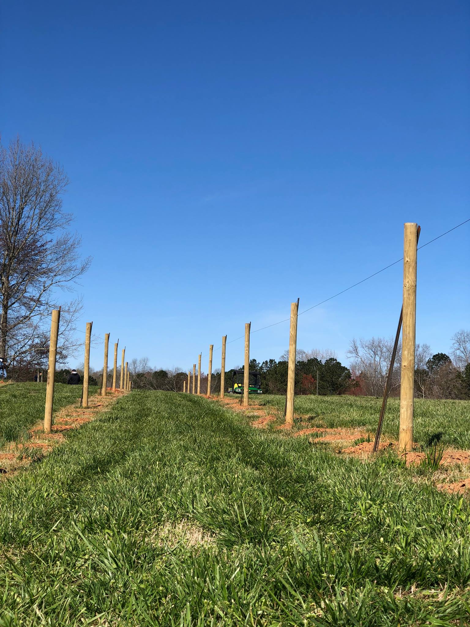New things are happening at... - Perry's Hav-No-Gotta Ranch | Facebook