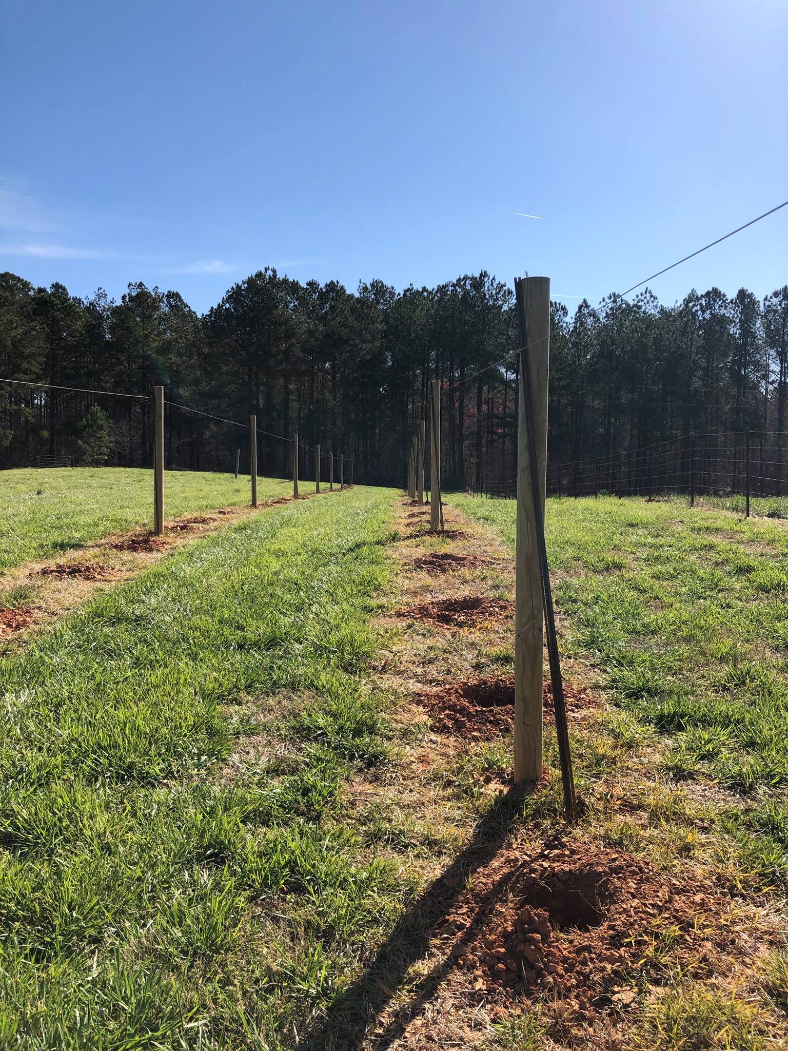 Perry's Hav-No-Gotta Ranch | Rockmart GA