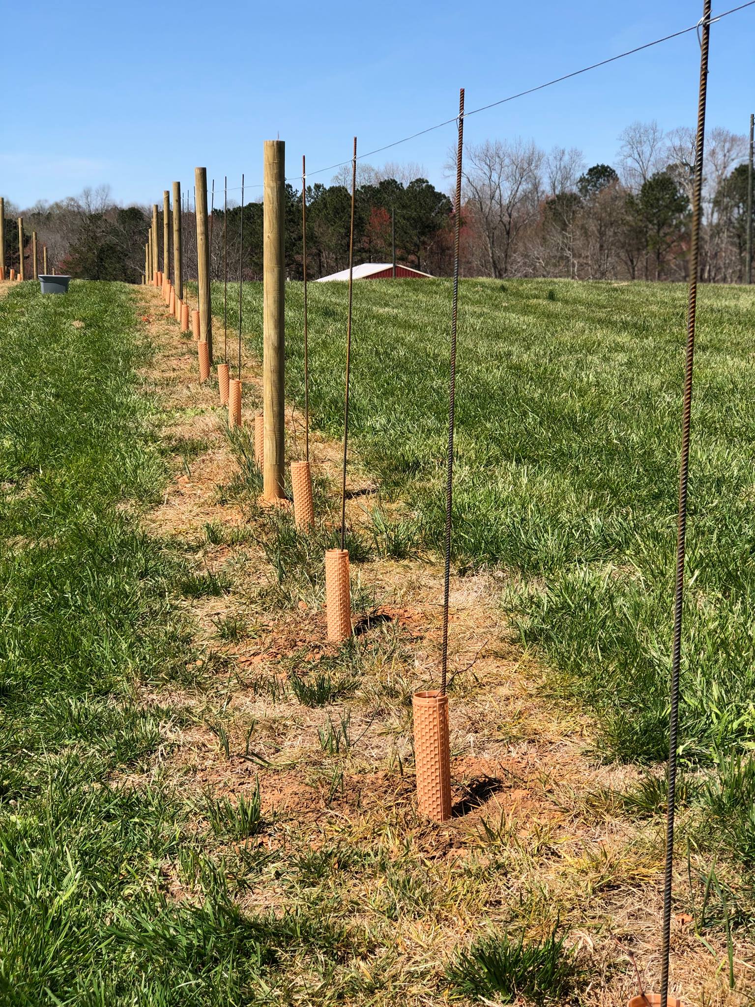 Perry's Hav-No-Gotta Ranch | Rockmart GA