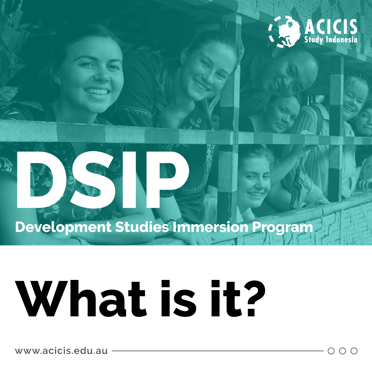 Acicis - Let's talk about DSIP - what is it? DSIP stands for ...