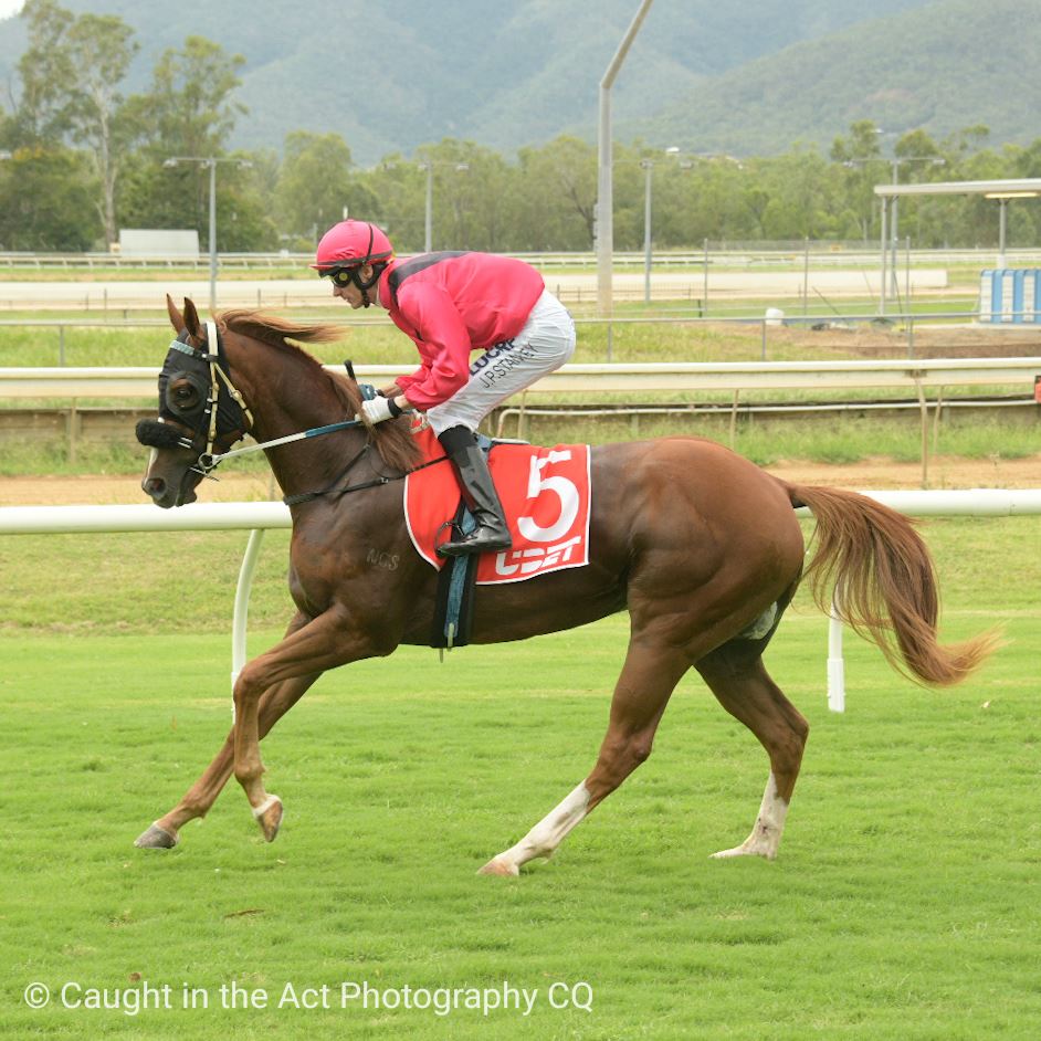 Congratulations to trainer Tom... - Rockhampton Jockey Club