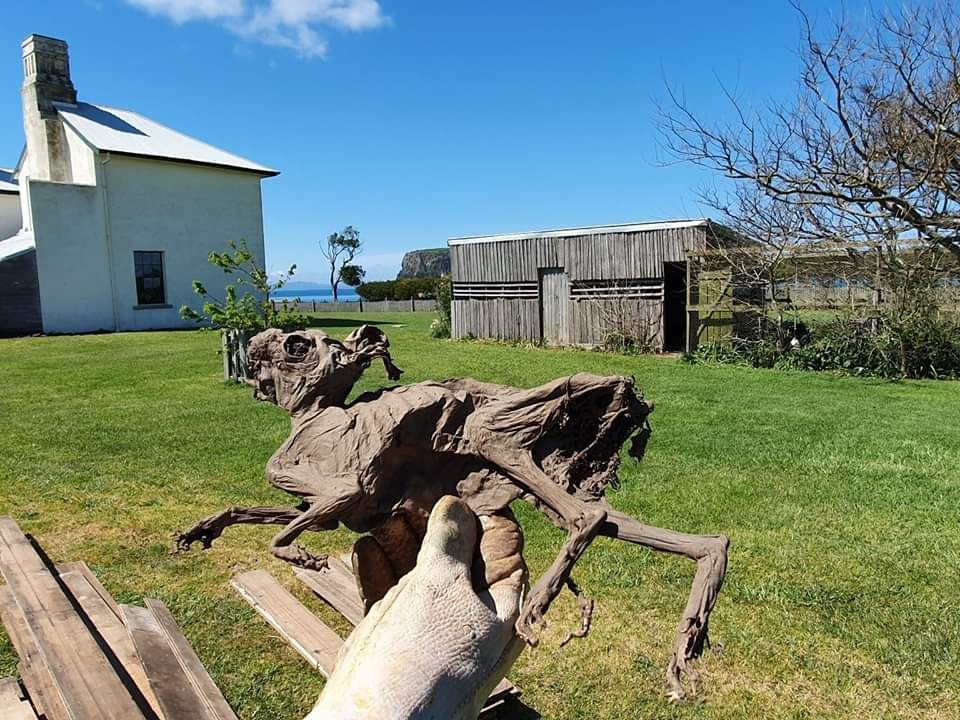Here's a clue where... - Wildcare Cradle Mountain Volunteers | Facebook