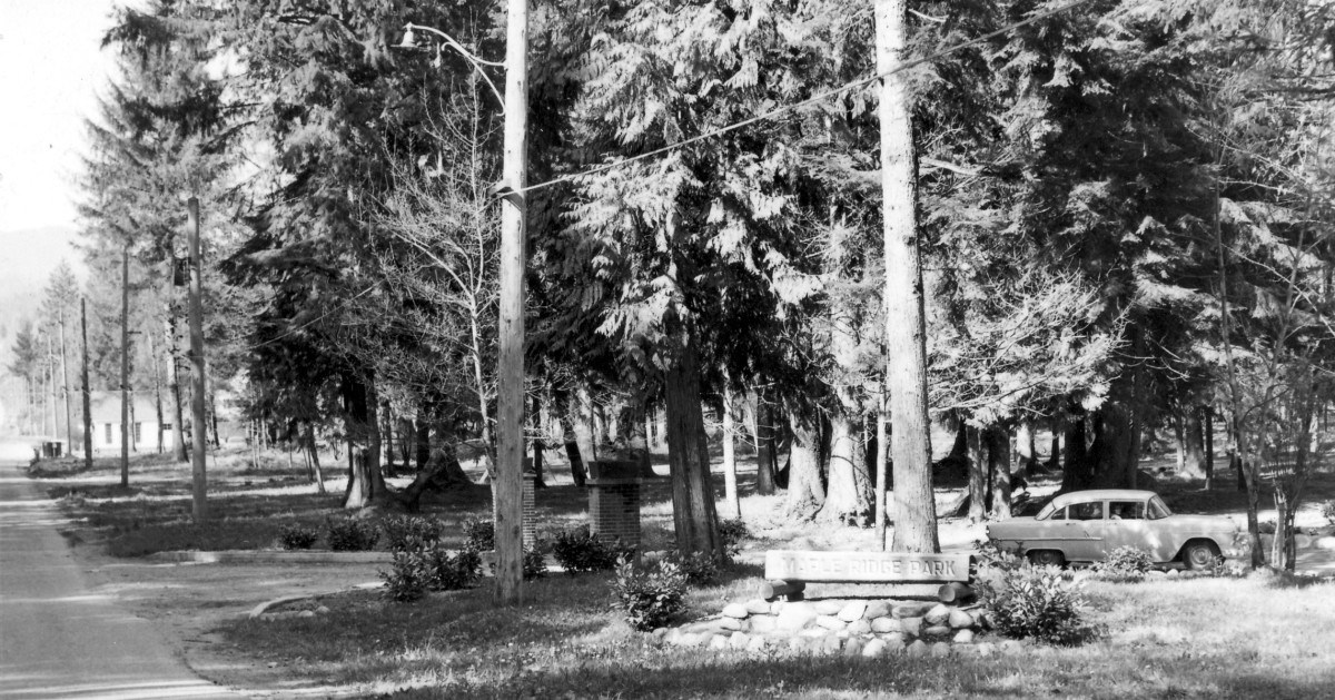 Maple - This is the Maple Ridge Park in the 1950's. Used as a logging ...