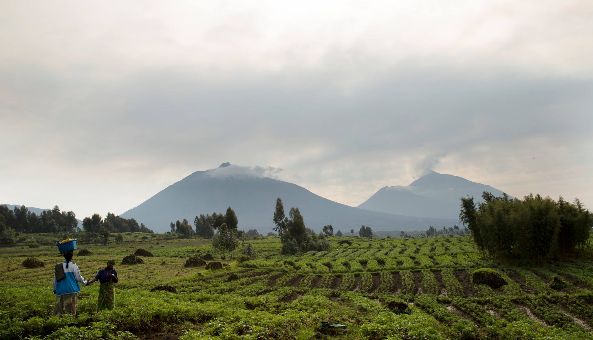 Musanze District