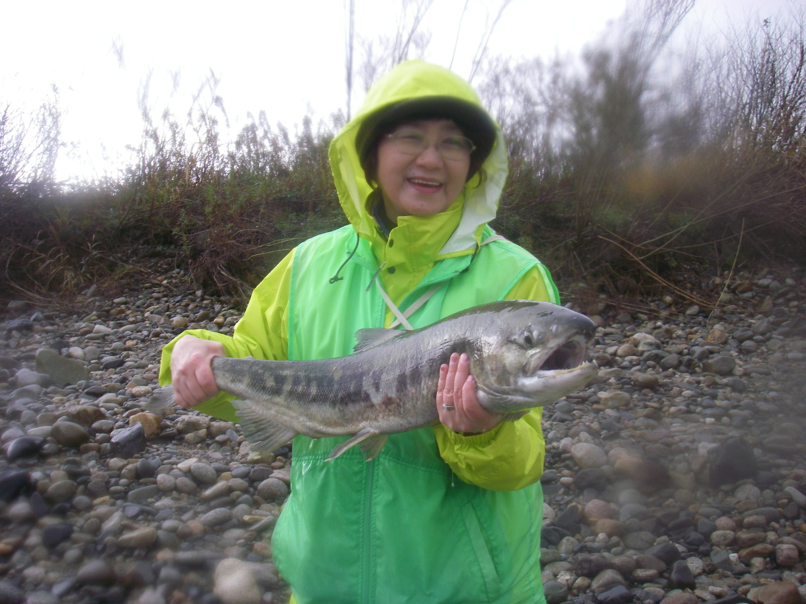 Fly fisherman shares memories of salmon fishing in Niigata, Japan