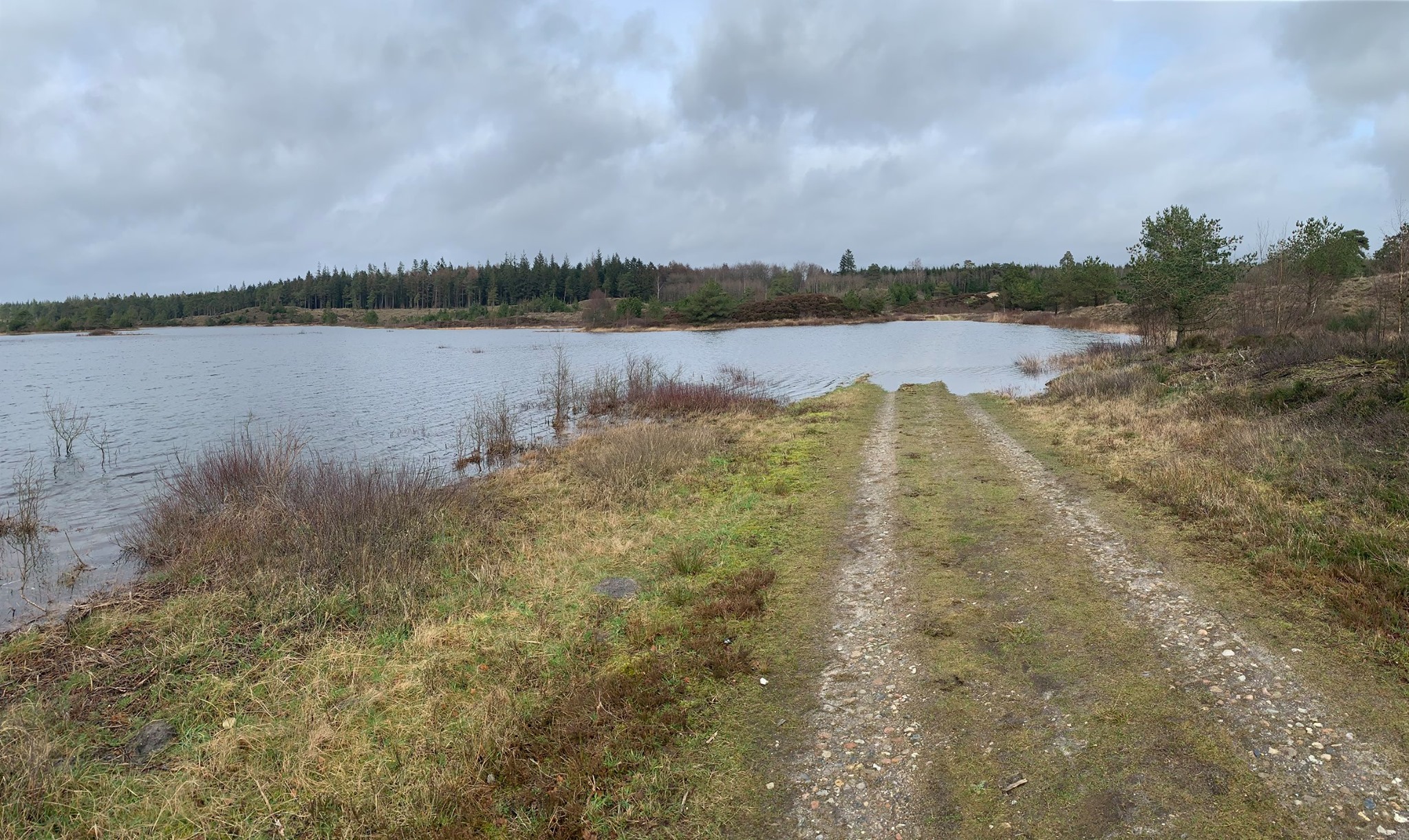 Naturstyrelsen - Syvårssøerne i Frederikshåb Plantage marts 2020 | Facebook