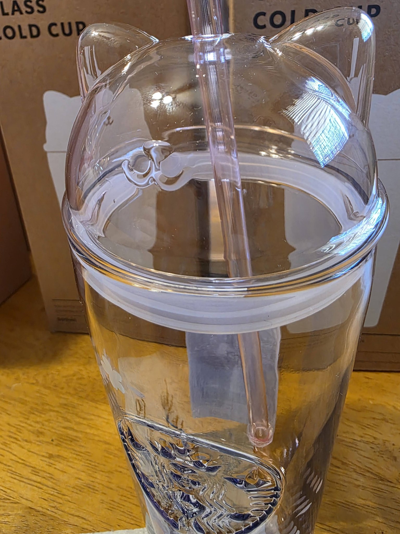 Starbucks korea 2026 Blooming Cat Glass Coldcup 500ml