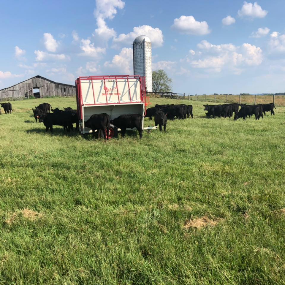 We are stock back up on... - Newton's Farm To Table Beef | Facebook