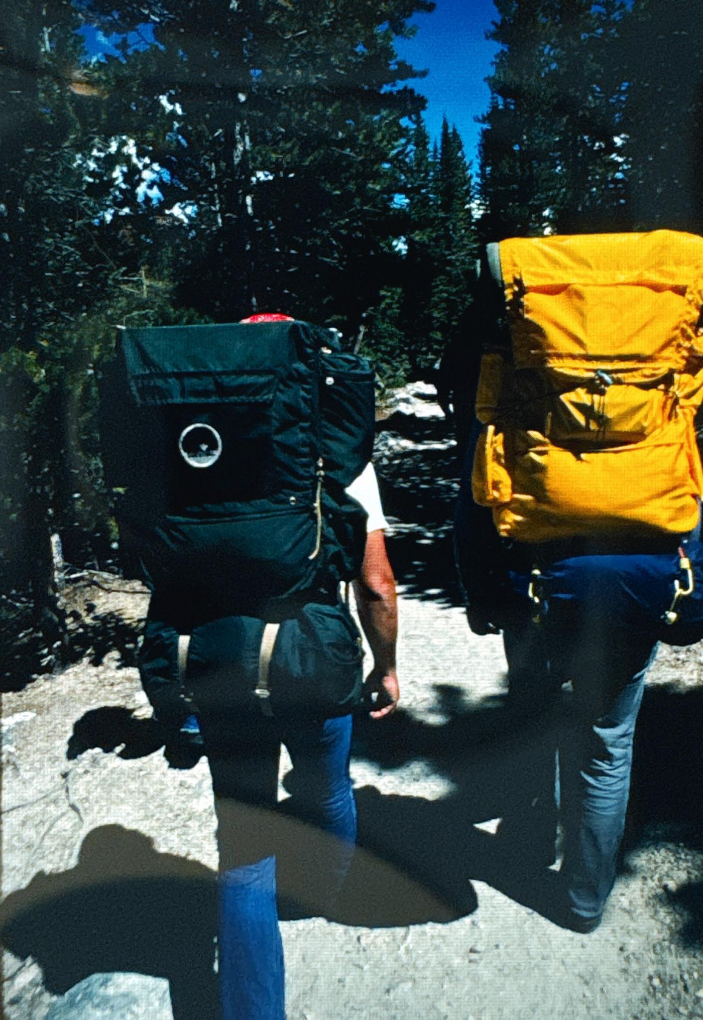 astral traveler backpack BAGS Quest Laptop for Men and Women, Stylish, Durable, with Multiple Compartments and Rain Cover, for School, College, Office, Travel (Black) Fashion The Cero Travel Backpack is our lightest carry Buy ASTRAL BAGS Bilie Skyglow