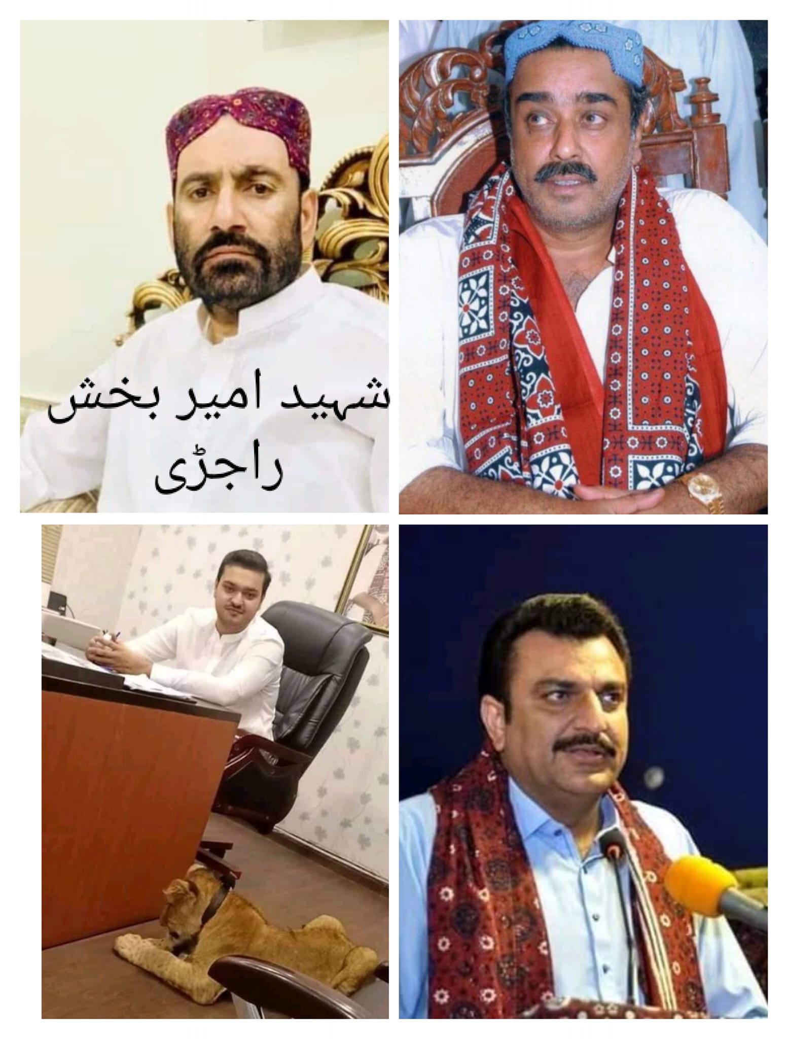 شھزاد سنڌي | Ghotki