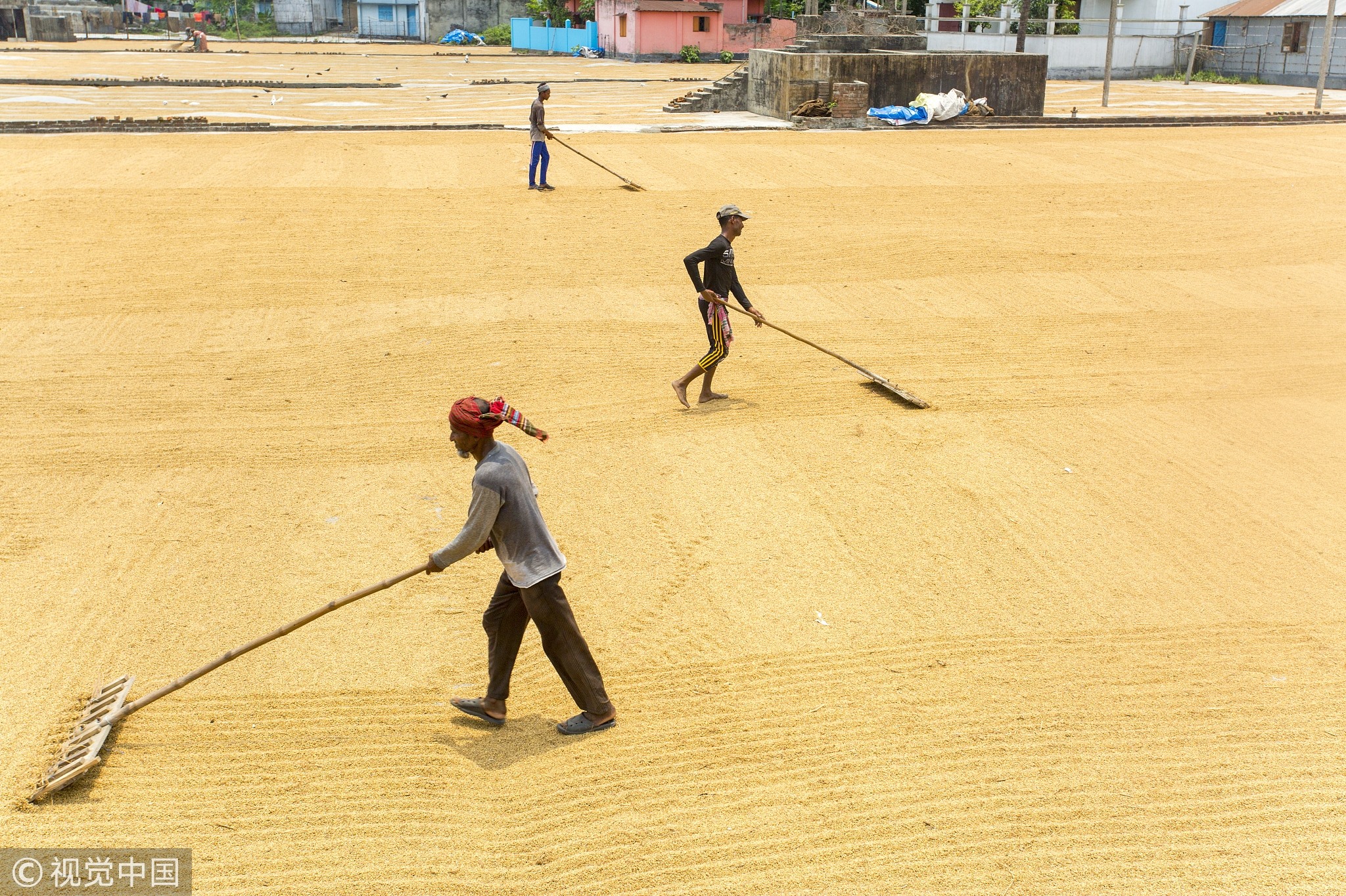 M/S. Molla Traders & Auto Rice Mill | Gazipur