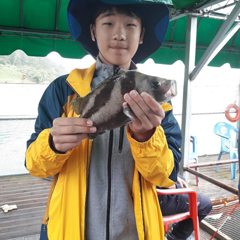 땅끝바다낚시터&글램핑 - . . 현재 #돗돔 #광어 #참돔 #우럭 4가지 어종 방류합니다!...