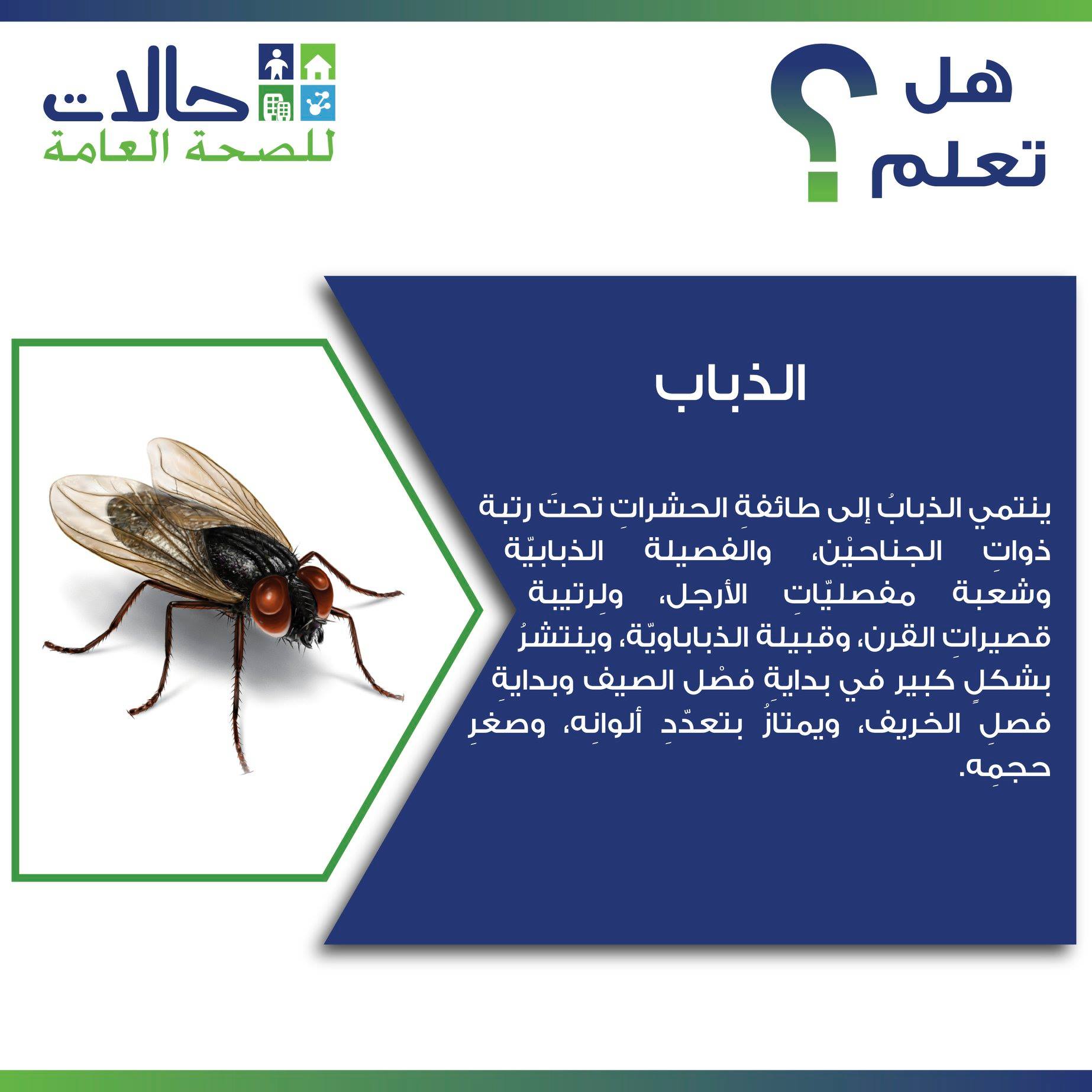 Halat Public Health هل تعلم معلومات عامة عن الذباب الذي يعد من أكثر الحشرات انتشارا عنواننا الجديد في سوريا دمشق مدخل القصاع ثاني بناء على اليمين طابق أول موبايل 0953710000 مكافحة الحشرات مكافحة الحشرات في سوريا