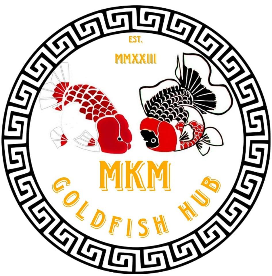 MKM Goldfish Hub | Calamba