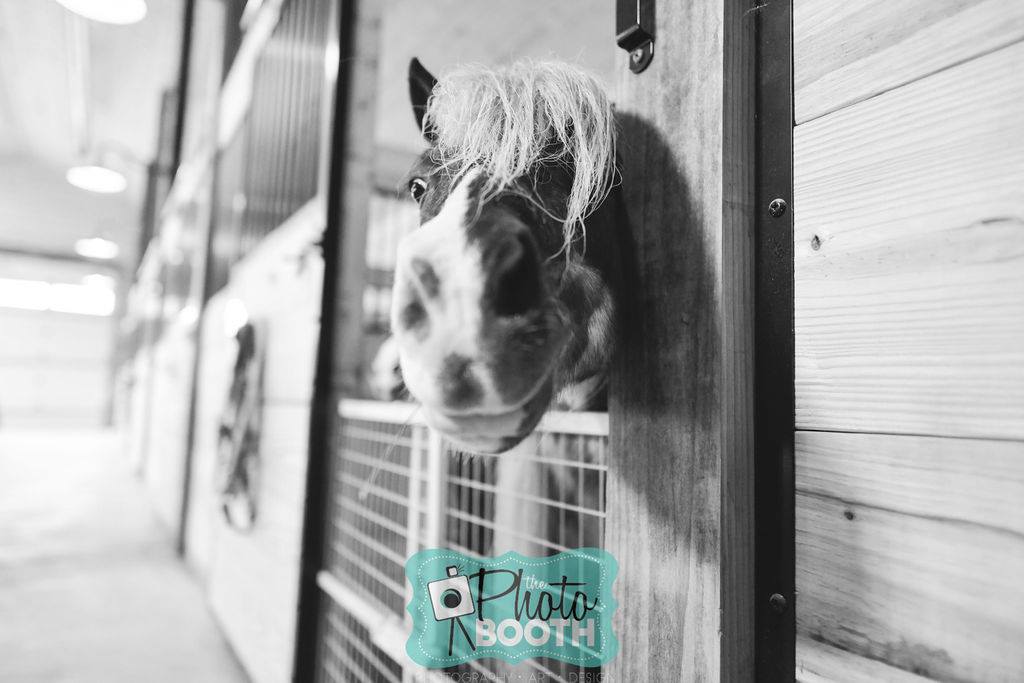 Magic wants you to check out the... - Discovery Riders Inc. | Facebook