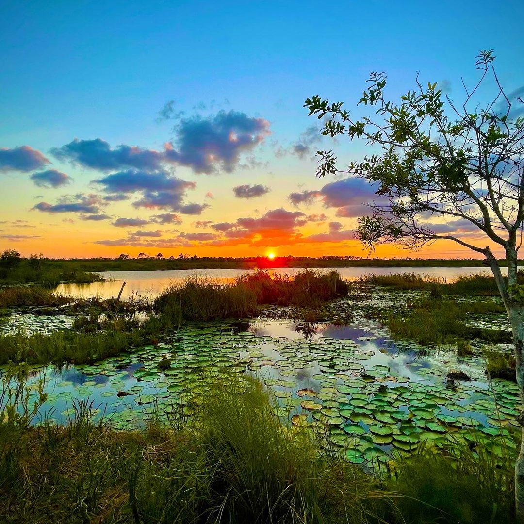 Check out the Hawks Bluff... - Florida State Parks Foundation