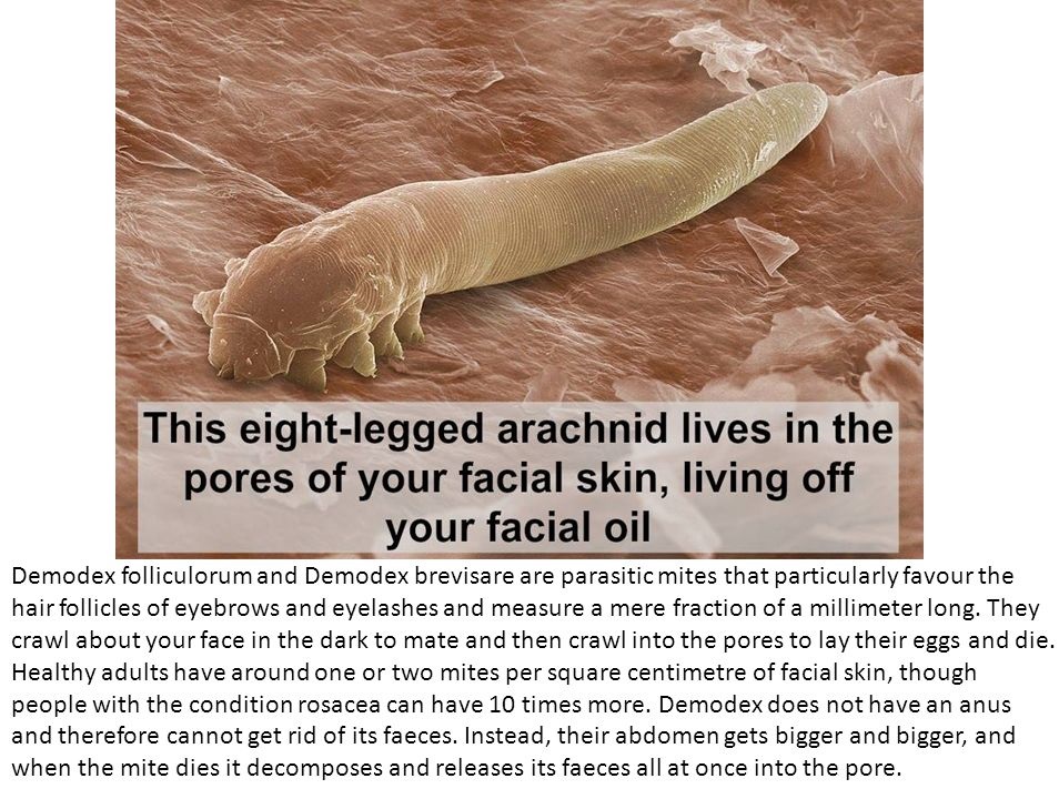 Shifting Your Paradigm for Optimum Health & Longevity - DID YOU KNOW ...