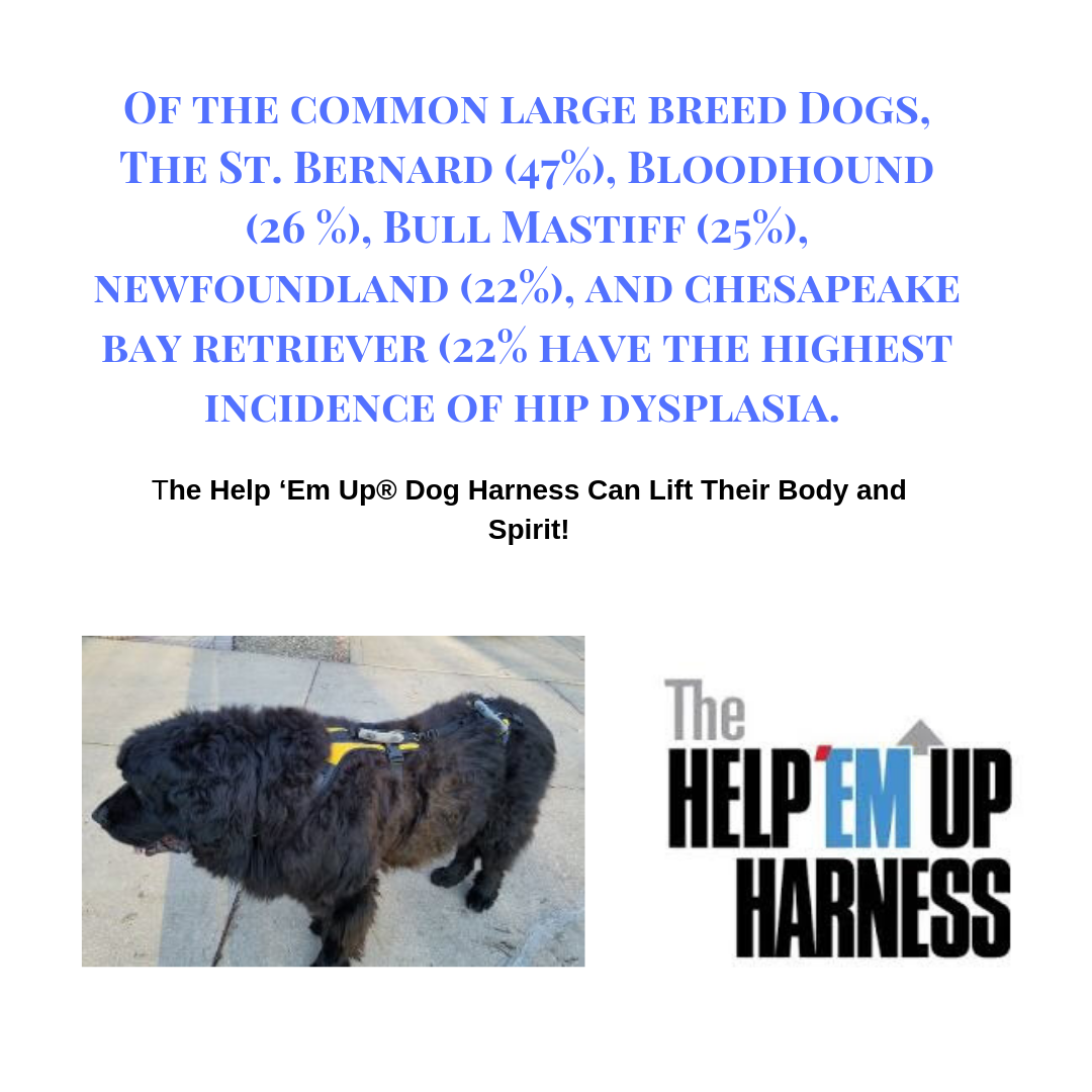 The Help ‘Em Up® Harness is ideal for... - Help Em Up Harness